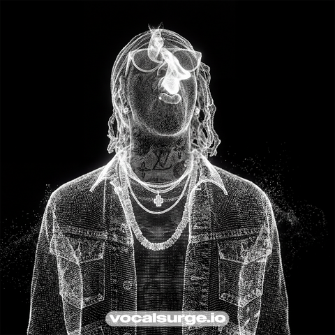 YOUNG THUG VOCAL PRESET